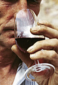 Wine grower Paul de Launay tasting his wine. Mercurey. Cote d Or. Burgundy. France