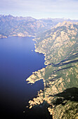 Aerial of the Gulf of Porto. South Corsica. Corsica Island. France