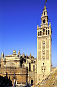 Giralda tower and Cathedral. Sevilla, Spain