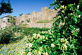 Moorish Alcazaba fortress. Málaga. Spain