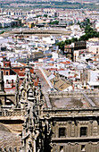 View of the city and La Maestranza from La Giralda. Sevilla. Andalucia. Spain