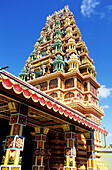 Tamil Hindu Temple. Mauritius