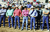 Rpw of Navajo cowboys attending rodeo. Window Rock fair. Arizona. USA