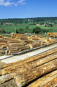 Pine trunks. Wood Industry. Doubs. Franche-Comte. France