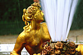 Venus Fountain. Versailles. France
