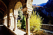 Saint-Martin du Canigou abbey. Pyrenees-Orientales. Languedoc Roussillon. France