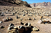 Muslim Bedouin cemetery near St. Catherine s Monastery in Sinai desert. Egypt