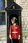 Horse guard mounting guard at Tower of London. London. England