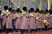 Horse Guards. London. England