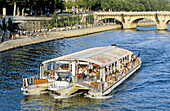 Tour boat on river Seine in summer, elevated view. Paris. France.