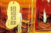 Local Liquor made with reptiles. Okinawa Island. Japan.