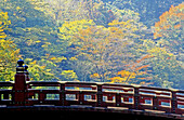 The park at fall. City of Nikko , known for its forests, landscapes and sanctuaries. Honshu. Japan.