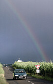 Rainbow among cane fields. Réunion, France