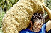 Tattoed man carrying a heavy sack of copra. Hiva-Oa island. Marquesas archipelago. French Polynesia (model released)