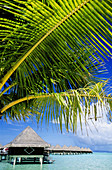 Bora-Bora in the Leeward islands. Society archipelago. French Polynesia