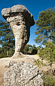 El Tormo Alto. Ciudad Encantada. Cuenca province. Spain