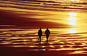 Couple at the beach at sunset