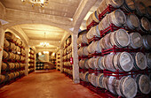 Wine cellar. La Rioja. Spain