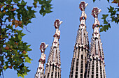 Sagrada Familia, by A. Gaudí. Barcelona. Spain