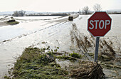 Ebro River floodings. Feb. 2003. Pina de Ebro, Zaragoza province. Spain
