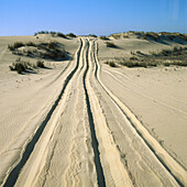 Dunes, Doñana National Park, Huelva province, Spain
