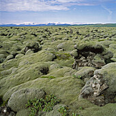 Myrdalsjokull Glacier, Tundra, Iceland