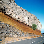 Straße. Nationalpark Caldera de Taburiente. La Palma. Kanarische Inseln. Spanien