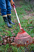 Gardener with rake. Leaf raking. Gipuzkoa, Euskadi. Spain.