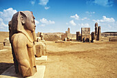 Ruins of Tanis. Egypt