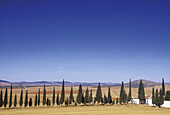 La Mancha landscape near Santa Cruz de Mudela. Ciudad Real provincia, Spain