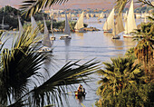 Nile River at Aswan. Egypt