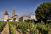 Pomerol, one of the famed wine district of Bordeaux. Gironde. France.