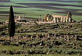 Roman ruins of Volubilis. Morocco