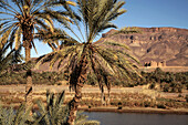 Kasbah Caïd Ali and the Draa river at Tamnougalt. Draa Valley. Morocco.