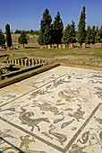 Mosaic at the Neptune House, at the romain ruins of Italica, at Santiponce. Seville. Andalucia. Spain.