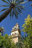 Patio de los Naranjos, courtyard and minaret tower of the Great Mosque. Córdoba. Spain