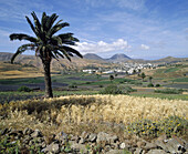 Haria. Lanzarote. Canary Islands. Spain