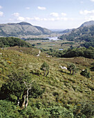 Killarney National Park