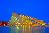 City of Arts and Sciences, by S. Calatrava. Valencia. Spain