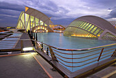 City of Arts and Sciences, by S. Calatrava. Valencia. Spain