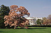 White House. Washington D.C. USA