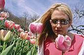 USA. Texas. Dallas. Arboretum, visitor smells the tulip flowers in spring.