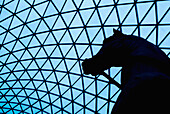 Horse head Statue in the Great Court at the British Museum, London. England, UK