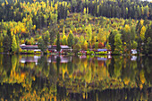 Herbst bei Smedjebacken am See Norra Barken in Dalarna, Mittelschweden