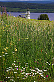 Blick über Wiese mit Kirchturm von Alsen am Alsensjön, Jämtland, Nordschweden