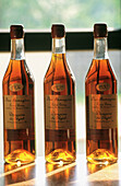 Bottles of Armagnac. Darroze, Roquefort. Landes. France