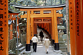 Torii Avenue of the Fushimi Sanctuary in Kyoto. Japan.