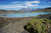Laguna Amarga. Torres del Paine National Park. Magallanes XIIth region. Chile.