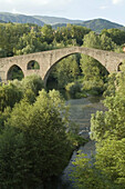 Pont Vell (14th century) and Ter River, Sant Joan de les Abadesses. Ripollès, Girona province, Catalonia, Spain