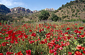 Scala Dei , Morera de Montsant. Montsant mountain range Natural Park , Tarragona, Spain.